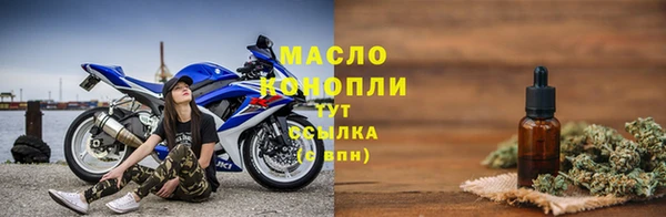 скорость Гусев