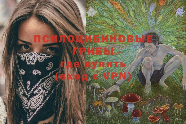 прущая мука Гусь-Хрустальный