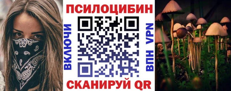 Галлюциногенные грибы мицелий Купить где Нолинск